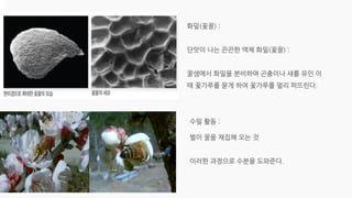 20230105_[강릉원주대 대기환경과학과] 2015년 1학기 전선 지구환경융합과학 과제물.pdf