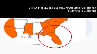 -2006년 11월 미국 플로리다 주에서 발생한 의문의 꿀벌 실종 사건
CCD현상의 첫 사례로 기록
 
