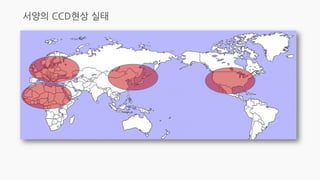 20230105_[강릉원주대 대기환경과학과] 2015년 1학기 전선 지구환경융합과학 과제물.pdf