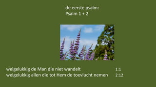 welgelukkig de Man die niet wandelt 1:1
welgelukkig allen die tot Hem de toevlucht nemen 2:12
de eerste psalm:
Psalm 1 + 2
 