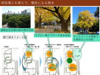 建国記念文庫の森の樹木伐採
ラグビー場アプローチ並木伐採 テニスコートの移転で
大銀杏なども伐採
球技場入れ替えで、犠牲になる樹木
 