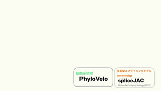 ϵy
ץ饤󥰥ǥ
(not velocity)
PhyloVelo spliceJAC
Molecular Systems Biology (2022)
 