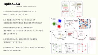 spliceJAC
Molecular Systems Biology (2022)
A. unspliced mRNAspliced mRNAΥȡ
ΥΥƩ`Ȥ
B,C. mRNAץ饤󥰥ǥˤ
״BخĤz-z໥Ф
D. ״BgФ椨״BخĤ
zͥåȥ`ˤߴԪɥ`Ϥ
wƤȤƽዤ
E. Խˤꡢ״BgФҪ
wz yǤ
(F. ״Bϡͥåȥ`˲׽줿zg
خĤ໥äʾ)
 