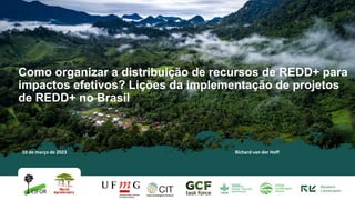 thumbnail of  Resource distribution of the Brazilian Amazon Fund (Como organizar a distribuição de recursos de REDD+ para impactos efetivos? Lições da implementação de projetos de REDD+ no Brasil)