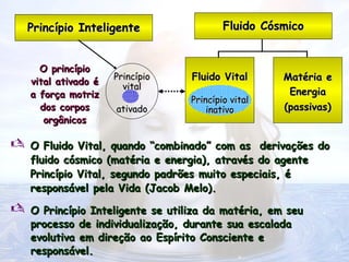  O Fluido Vital, quando “combinado” com as derivações do
O Fluido Vital, quando “combinado” com as derivações do
fluido cósmico (matéria e energia), através do agente
fluido cósmico (matéria e energia), através do agente
Princípio Vital, segundo padrões muito especiais, é
Princípio Vital, segundo padrões muito especiais, é
responsável pela Vida (Jacob Melo).
responsável pela Vida (Jacob Melo).
 O Princípio Inteligente se utiliza da matéria, em seu
O Princípio Inteligente se utiliza da matéria, em seu
processo de individualização, durante sua escalada
processo de individualização, durante sua escalada
evolutiva em direção ao Espírito Consciente e
evolutiva em direção ao Espírito Consciente e
responsável.
responsável.
Fluido Cósmico
Fluido Cósmico
Princípio Inteligente
Princípio Inteligente
Matéria e
Matéria e
Energia
Energia
(passivas)
(passivas)
Fluido Vital
Fluido Vital
Princípio vital
Princípio vital
inativo
inativo
O princípio
O princípio
vital ativado é
vital ativado é
a força motriz
a força motriz
dos corpos
dos corpos
orgânicos
orgânicos
Princípio
Princípio
vital
vital
ativado
ativado
 