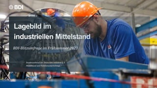 BDI-Blitzumfrage im Frühsommer 2023
Bundesverband der Deutschen Industrie e. V.
Mittelstand und Familienunternehmen
 