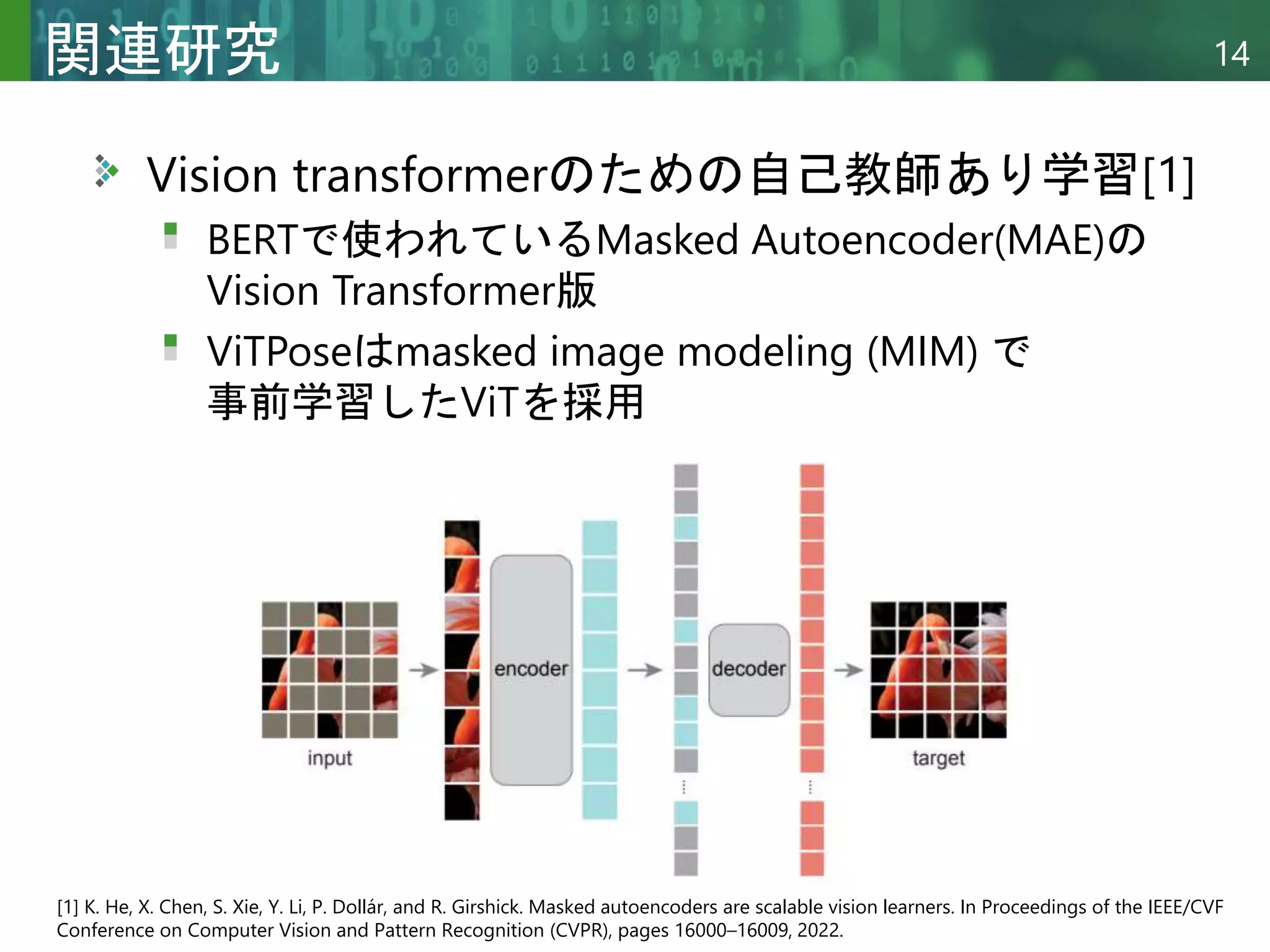 DLゼミ: ViTPose: Simple Vision Transformer Baselines for Human Pose ...