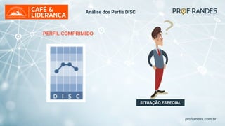 profrandes.com.br
SITUAÇÃO ESPECIAL
PERFIL COMPRIMIDO
Análise dos Perfis DISC
 