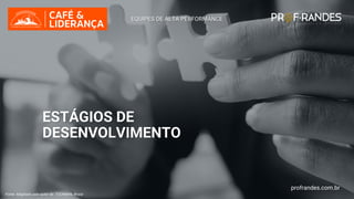 profrandes.com.br
EQUIPES DE ALTA PERFORMANCE
ESTÁGIOS DE
DESENVOLVIMENTO
Fonte: Adaptado pelo autor de: TUCKMAN, Bruce
profrandes.com.br
 