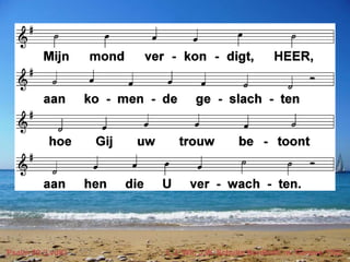 Psalm 89 (LvdK) t. J. Wit, J.W. Schulte Nordholt; m. Genève 1562
 