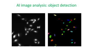 AI in research: ChatGPT and more | PDF