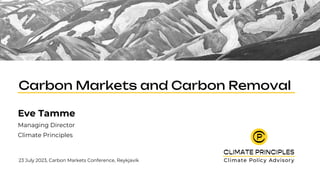 Carbon Markets and Carbon Removal
Eve Tamme
Managing Director
Climate Principles
23 July 2023, Carbon Markets Conference, Reykjavík
 