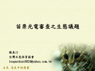 苗栗光電審查之生態議題
陳美汀
台灣石虎保育協會
leopardcat0824@yahoo.com.tw
 