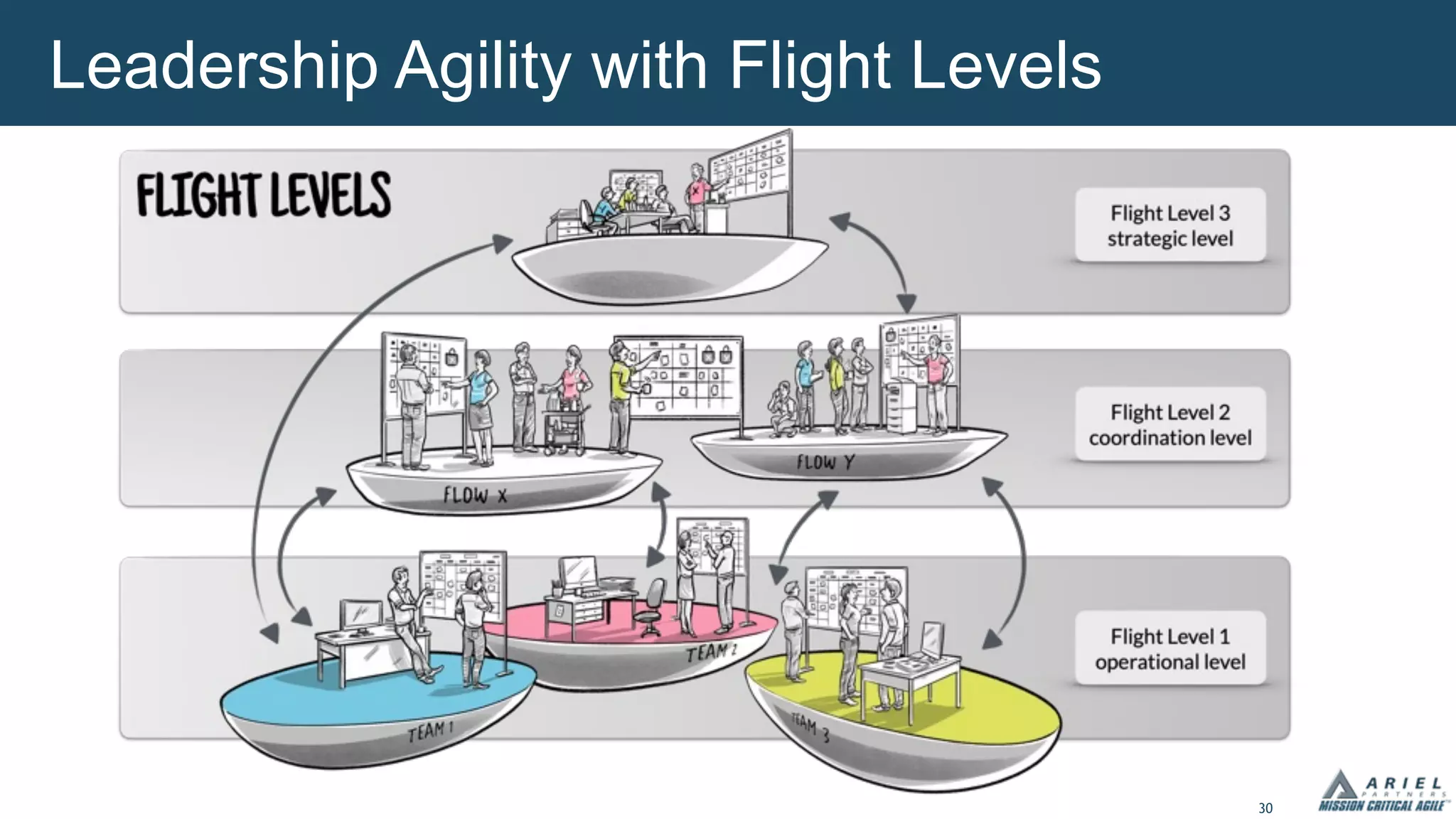 30
Leadership Agility with Flight Levels
 