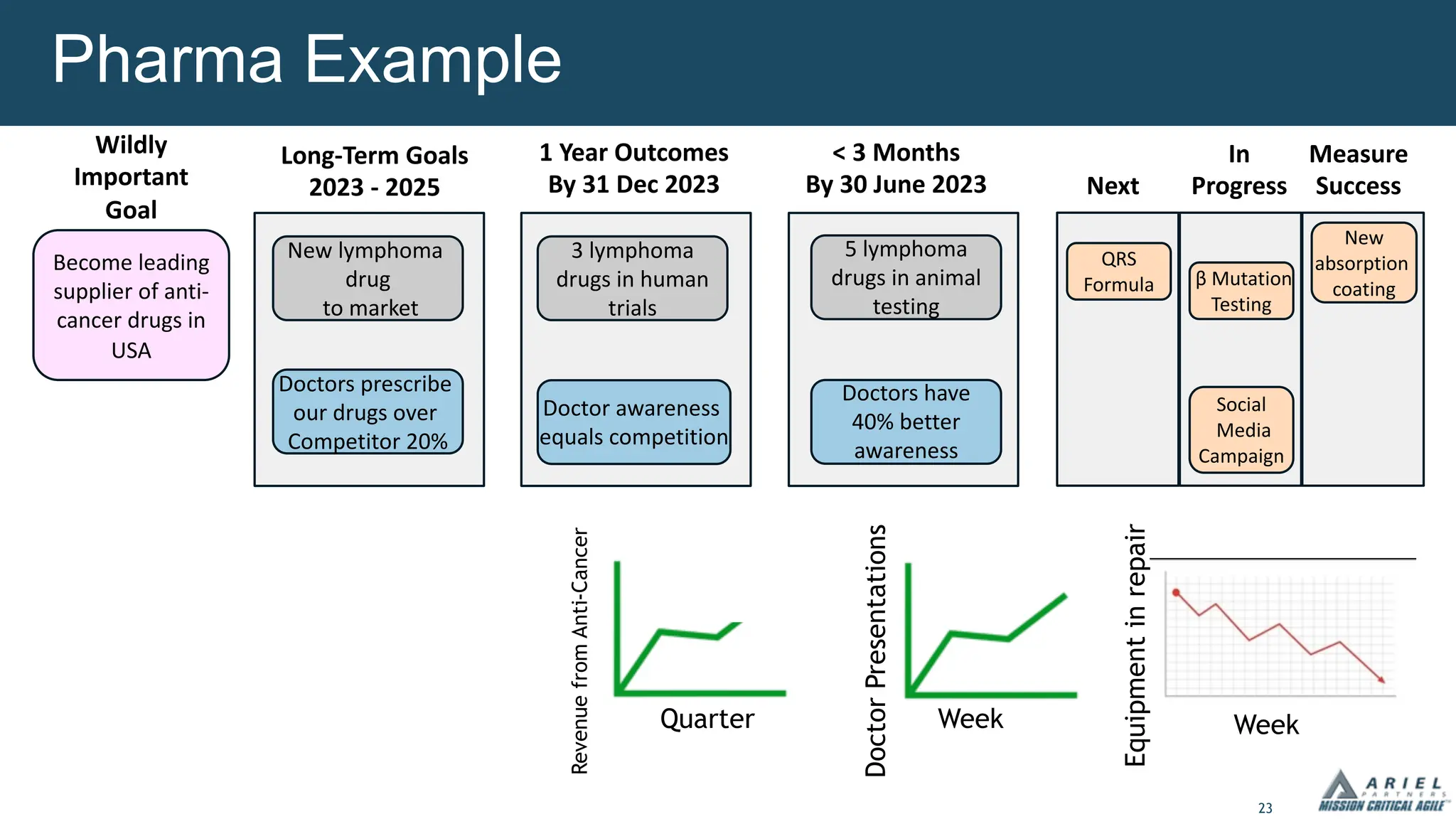 23
Pharma Example
Revenue
from
Anti-Cancer
Doctor
Presentations
Week
Become leading
supplier of anti-
cancer drugs in
USA
Long-Term Goals
2023 - 2025
Wildly
Important
Goal
1 Year Outcomes
By 31 Dec 2023
< 3 Months
By 30 June 2023 Next
In
Progress
Measure
Success
New lymphoma
drug
to market
3 lymphoma
drugs in human
trials
5 lymphoma
drugs in animal
testing
Doctors have
40% better
awareness
Doctors prescribe
our drugs over
Competitor 20%
Doctor awareness
equals competition
QRS
Formula β Mutation
Testing
Social
Media
Campaign
New
absorption
coating
Equipment
in
repair
Week
Quarter
 