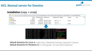 Die ultimative Anleitung für HCL Nomad Web Administratoren | PDF