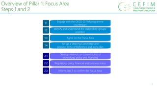 7
Overview of Pillar 1: Focus Area
Steps 1 and 2
Engage with the OECD CEFIM programme
counterpart
Identify and understand the stakeholder groups’
priorities
Agree on the Focus Area
1.1
1.2
1.3
Set up a Steering Committee and
prepare Terms of Reference and work plan
1.4
2.3
2.2
2.1
Desktop research on current status of
technology, policy and financing
Regulatory, policy, financial and business status
Inform Step 1 to confirm the Focus Area
 