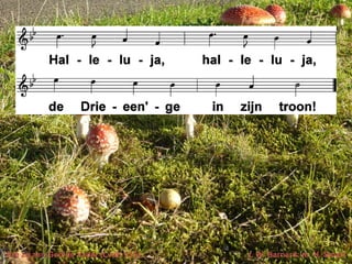 Ere zij aan God de Vader (LvdK 255) t. W. Barnard; m. H. Smart
 