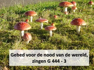 Gebed voor de nood van de wereld,
zingen G 444 - 3
 