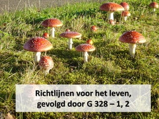 Richtlijnen voor het leven,
gevolgd door G 328 – 1, 2
 