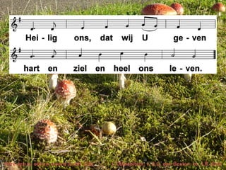 Here Jezus, om uw woord (LvdK 328) t. Clausnitzer; v. A.C. den Besten; m. J.R. Ahle
 