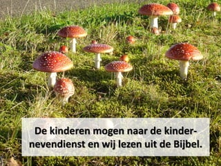 De kinderen mogen naar de kinder-
nevendienst en wij lezen uit de Bijbel.
 