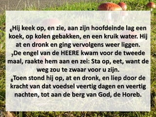 6Hij keek op, en zie, aan zijn hoofdeinde lag een
koek, op kolen gebakken, en een kruik water. Hij
at en dronk en ging vervolgens weer liggen.
7De engel van de HEERE kwam voor de tweede
maal, raakte hem aan en zei: Sta op, eet, want de
weg zou te zwaar voor u zijn.
8Toen stond hij op, at en dronk, en liep door de
kracht van dat voedsel veertig dagen en veertig
nachten, tot aan de berg van God, de Horeb.
 