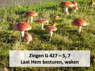 Zingen G 427 – 5, 7
Laat Hem besturen, waken
 