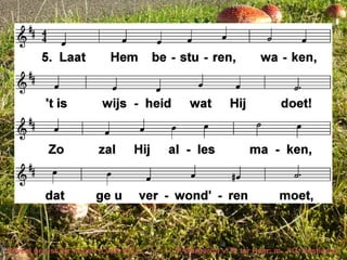 Beveel gerust uw wegen (LvdK 427) t. P. Gerhardt; v. B. ter Haar; m. J.G. Bastiaans
 