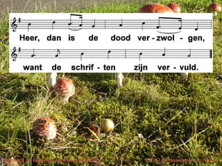 Eens als de bazuinen klinken (LvdK 300) t. Th.J.M. Naastepad; m. Wales
 