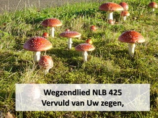 Wegzendlied NLB 425
Vervuld van Uw zegen,
 