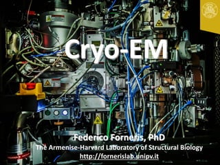 Federico Forneris, PhD
The Armenise-Harvard Laboratory of Structural Biology
http://fornerislab.unipv.it
Cryo-EM
 