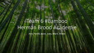 Team 6 #Bamboo
Herman Brood Academie
Alex, Fenne, Joost, Jules, Marit, Wiebe
 