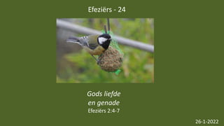 Efeziërs - 24
26-1-2022
Gods liefde
en genade
Efeziërs 2:4-7
 