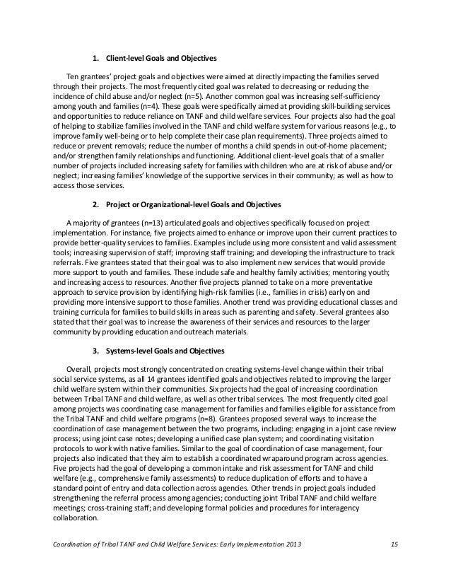 Competency statement 3 essay example image