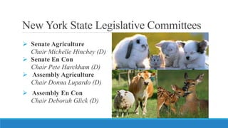 New York State Legislative Committees
 Senate Agriculture
Chair Michelle Hinchey (D)
 Senate En Con
Chair Pete Harckham ...