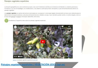 Paisajes vegetales españoles | VEGETACIÓN (ESO) (ign.es)
 