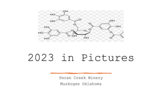 2023 in Pictures
Pecan Creek Winery
Muskogee Oklahoma
 