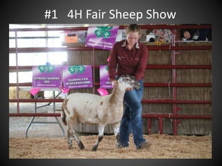 #1 4H Fair Sheep Show
 