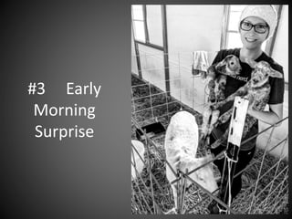#3 Early
Morning
Surprise
 