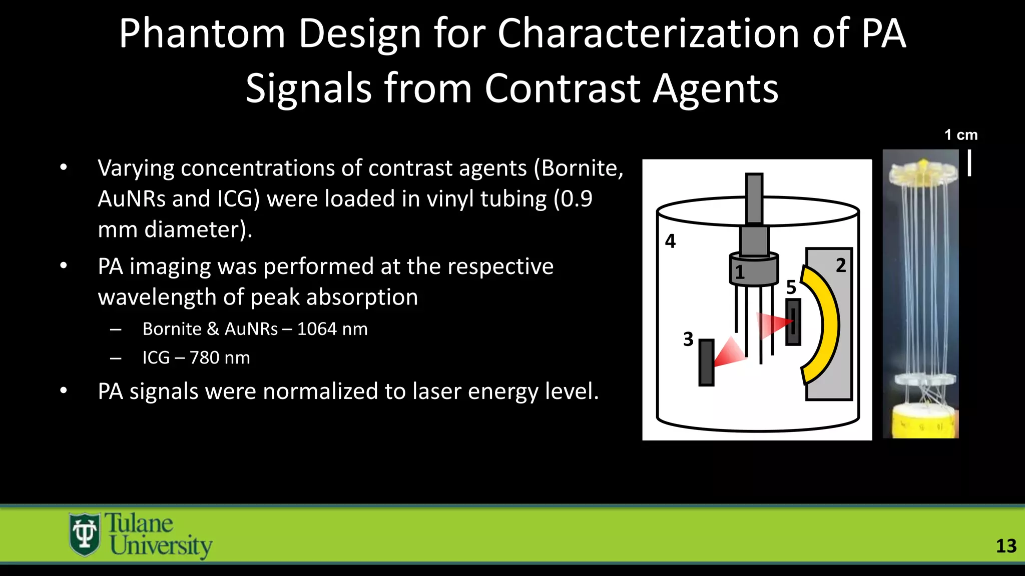 • Varying concentrations of contrast agents (Bornite,
AuNRs and ICG) were loaded in vinyl tubing (0.9
mm diameter).
• PA imaging was performed at the respective
wavelength of peak absorption
– Bornite & AuNRs – 1064 nm
– ICG – 780 nm
• PA signals were normalized to laser energy level.
13
Phantom Design for Characterization of PA
Signals from Contrast Agents
3
5
2
1
4
1 cm
 