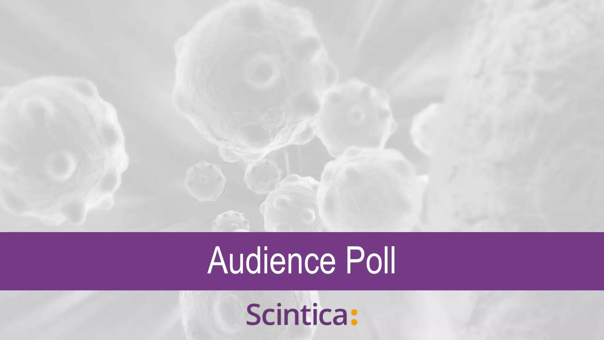 Audience Poll
 