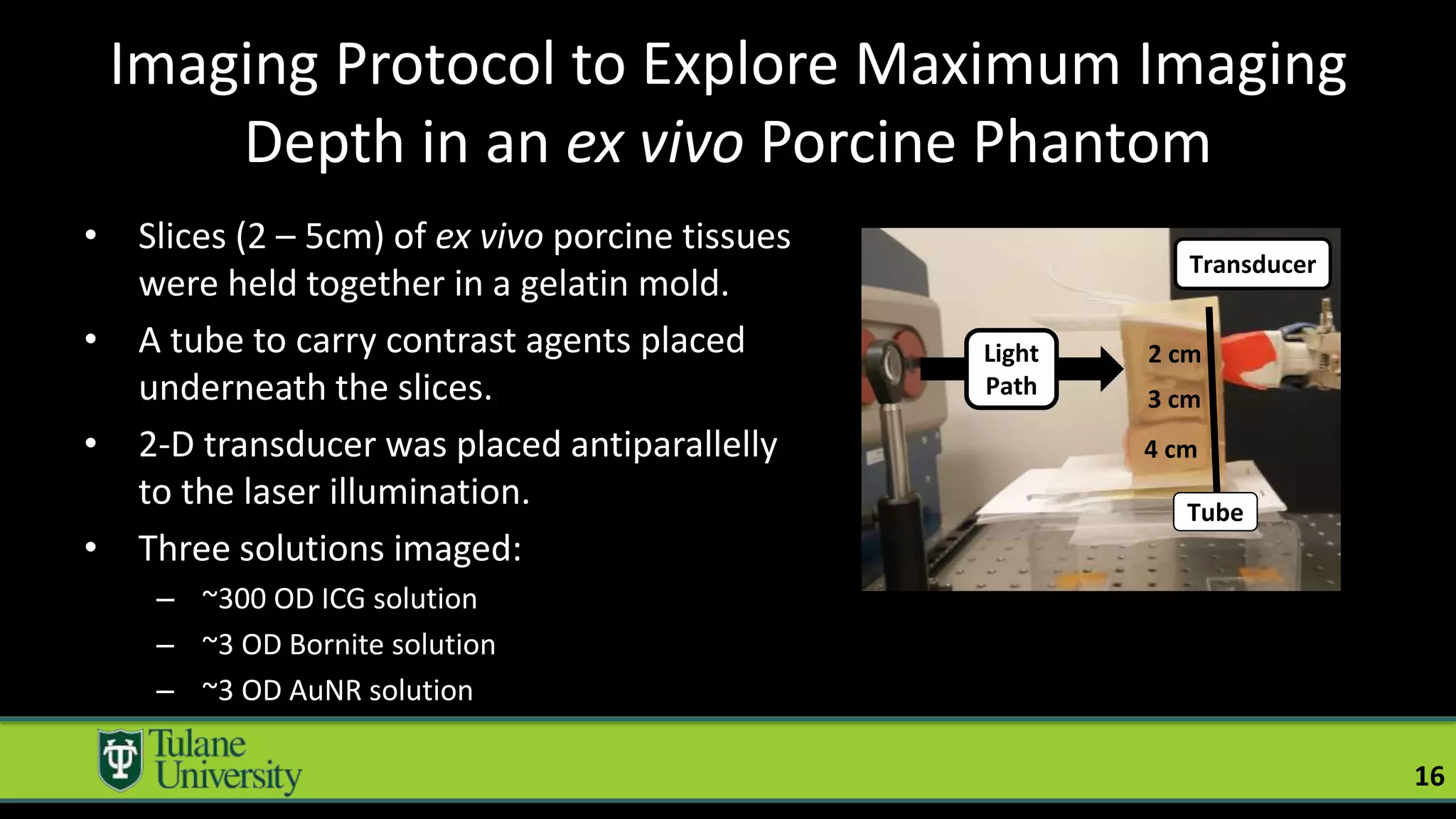 Imaging Protocol to Explore Maximum Imaging
Depth in an ex vivo Porcine Phantom
16
Tube
Light
Path
Transducer
4 cm
3 cm
2 cm
• Slices (2 – 5cm) of ex vivo porcine tissues
were held together in a gelatin mold.
• A tube to carry contrast agents placed
underneath the slices.
• 2-D transducer was placed antiparallelly
to the laser illumination.
• Three solutions imaged:
– ~300 OD ICG solution
– ~3 OD Bornite solution
– ~3 OD AuNR solution
 