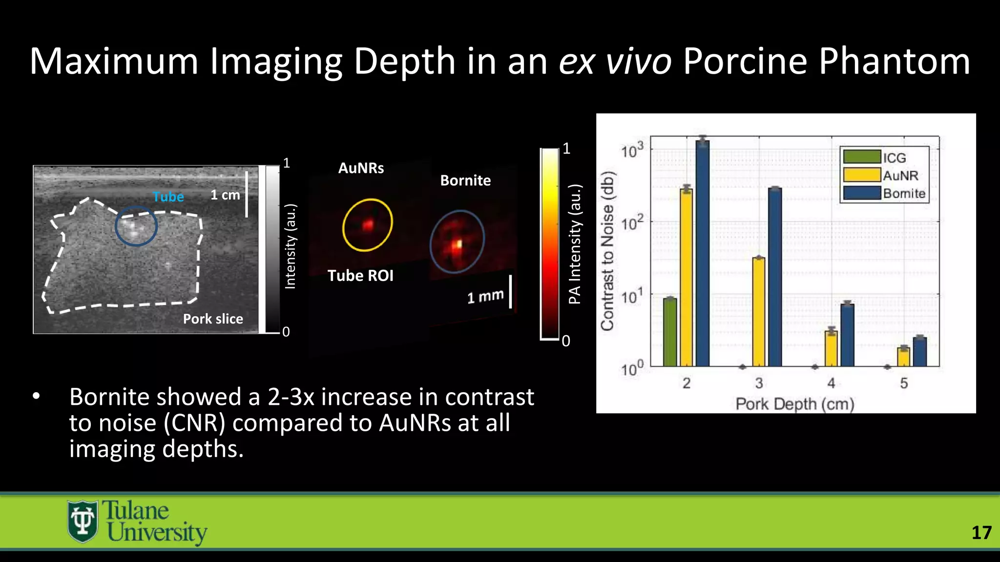 Maximum Imaging Depth in an ex vivo Porcine Phantom
17
• Bornite showed a 2-3x increase in contrast
to noise (CNR) compared to AuNRs at all
imaging depths.
Pork slice
Tube 1 cm
1
0
Intensity
(au.)
1
0
PA
Intensity
(au.)
Tube ROI
Bornite
AuNRs
 