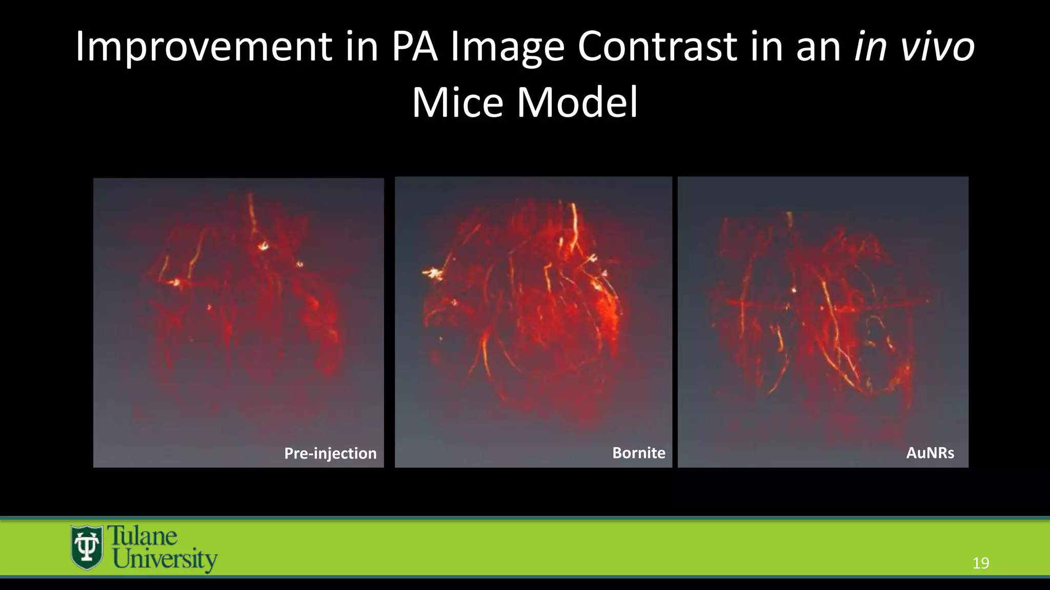 19
Pre-injection Bornite AuNRs
Improvement in PA Image Contrast in an in vivo
Mice Model
 