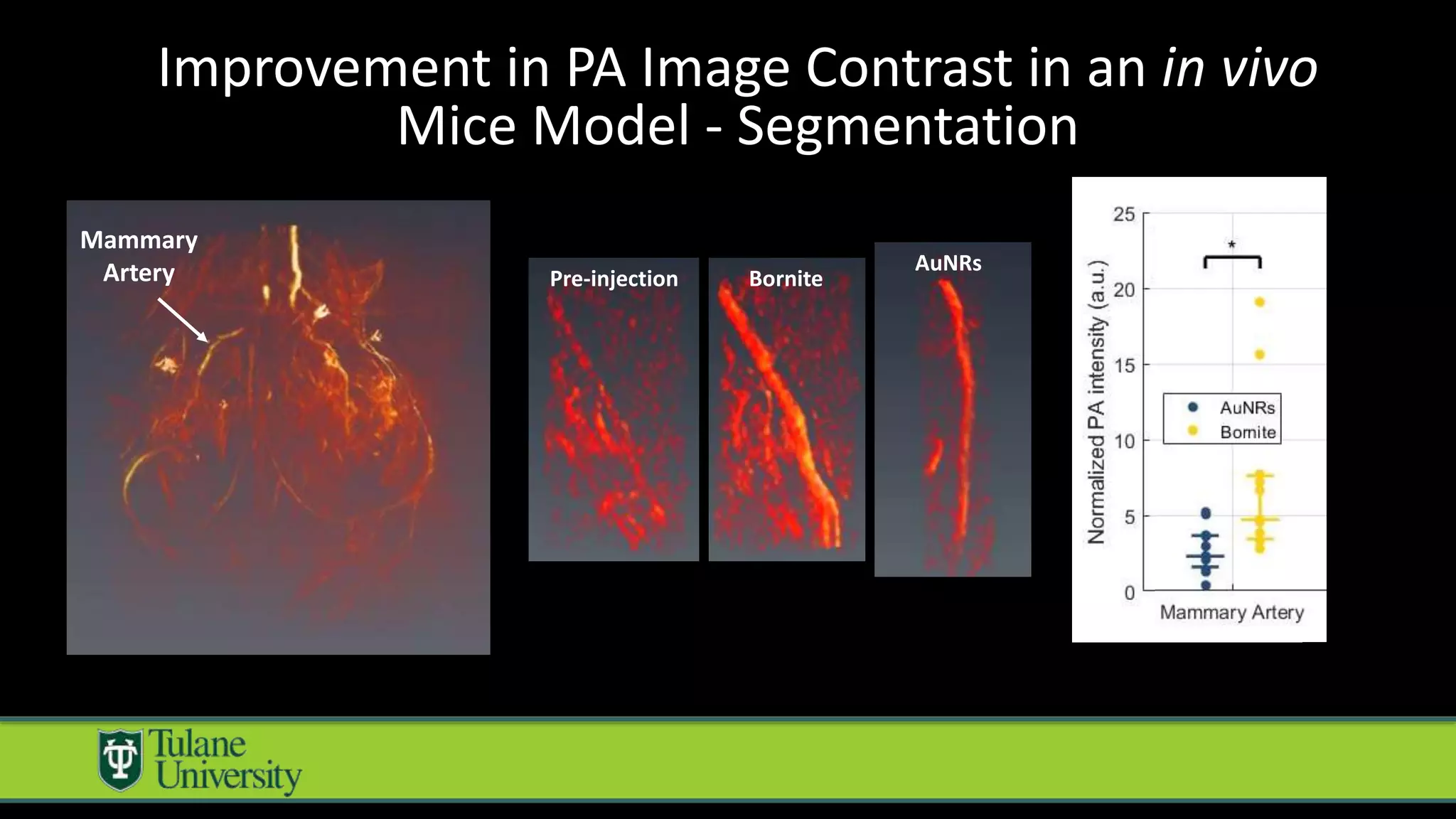 Mammary
Artery Pre-injection Bornite
AuNRs
Improvement in PA Image Contrast in an in vivo
Mice Model - Segmentation
 