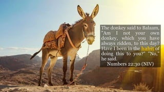 The donkey said to Balaam,
"Am I not your own
donkey, which you have
always ridden, to this day?
Have I been in the habit of
doing this to you?" "No,"
he said.
Numbers 22:30 (NIV)
 