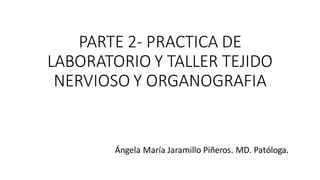 PARTE 2- PRACTICA DE
LABORATORIO Y TALLER TEJIDO
NERVIOSO Y ORGANOGRAFIA
Ángela María Jaramillo Piñeros. MD. Patóloga.
 