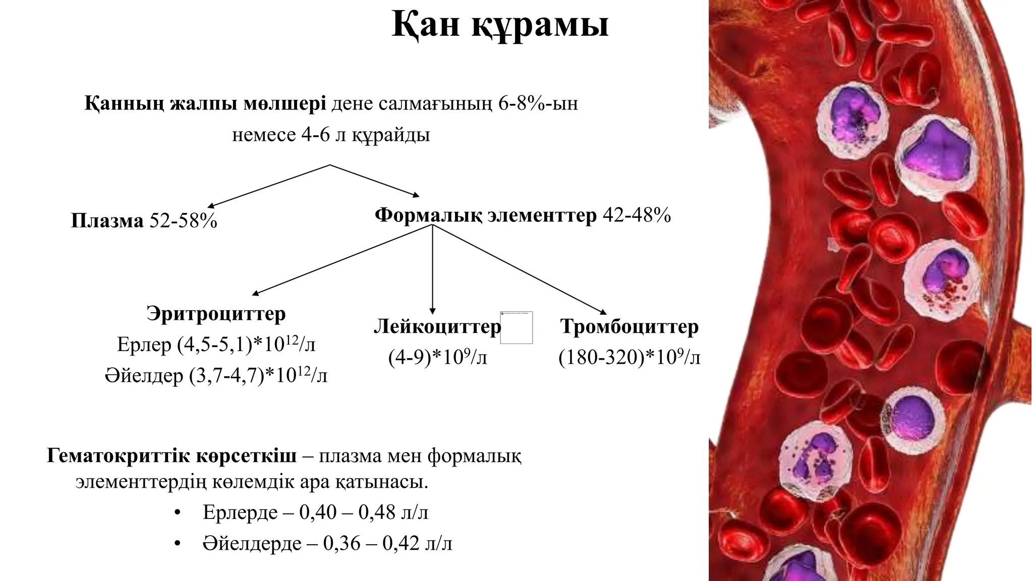 Наруто мен Сасуке сыныптағы секс фанфигі Magic Park порносын көріңіз