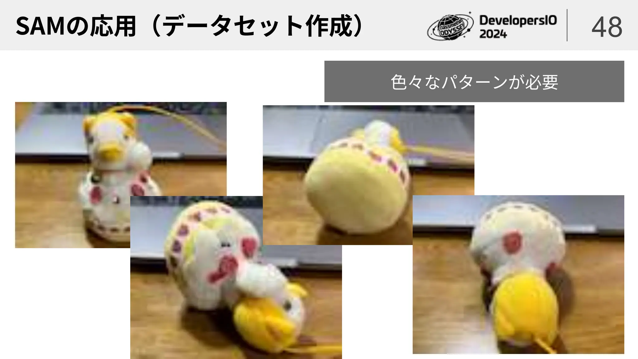 SAMの応用（データセット作成） 48
色々なパターンが必要
 